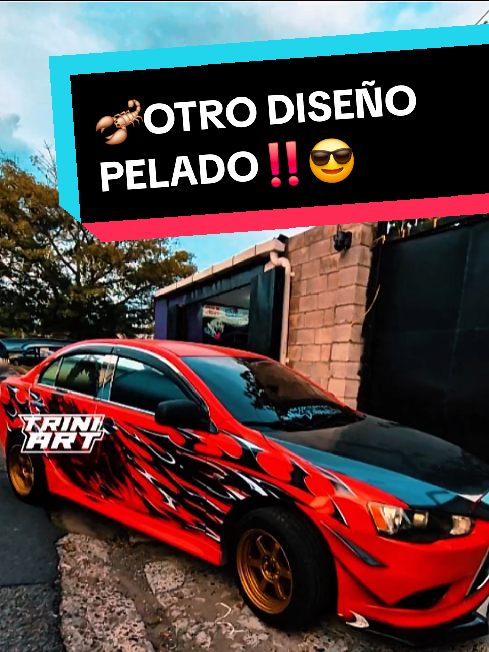 @Trini Art SV
