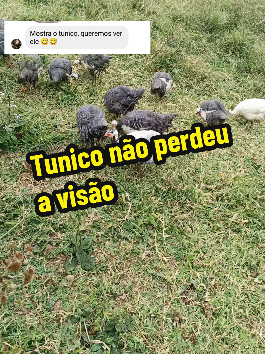 @Elaine Fernandes