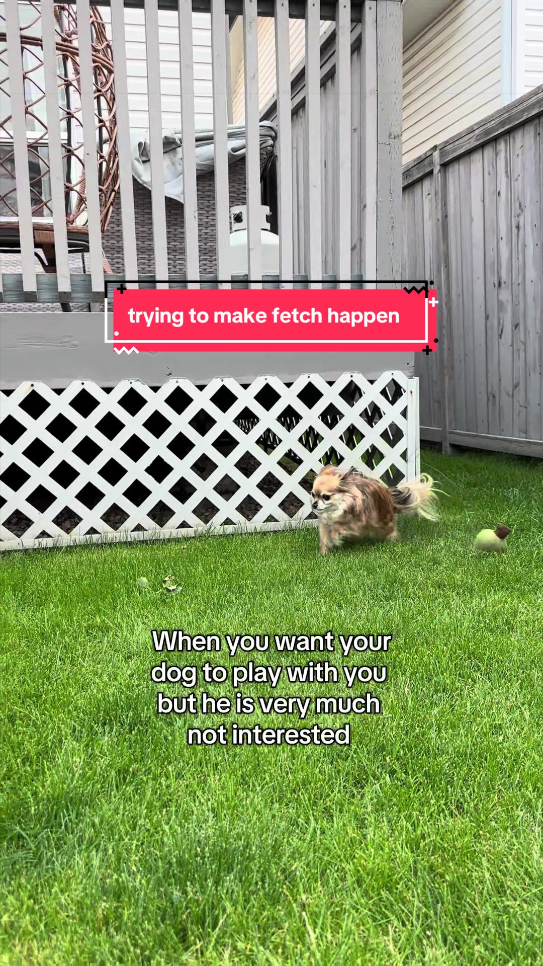 @mochi.and.ali