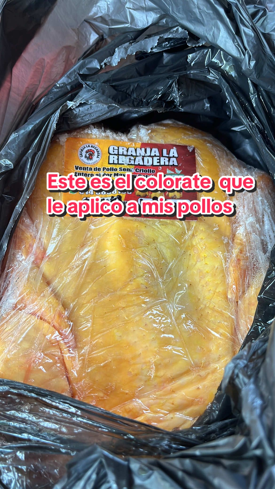 @elmagnatedelospollos