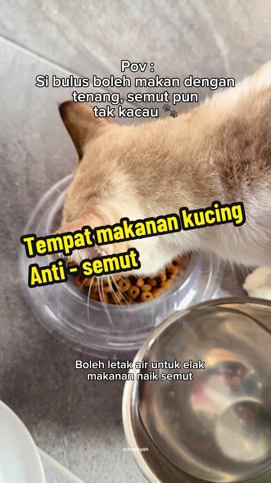 @Scha Aisyah