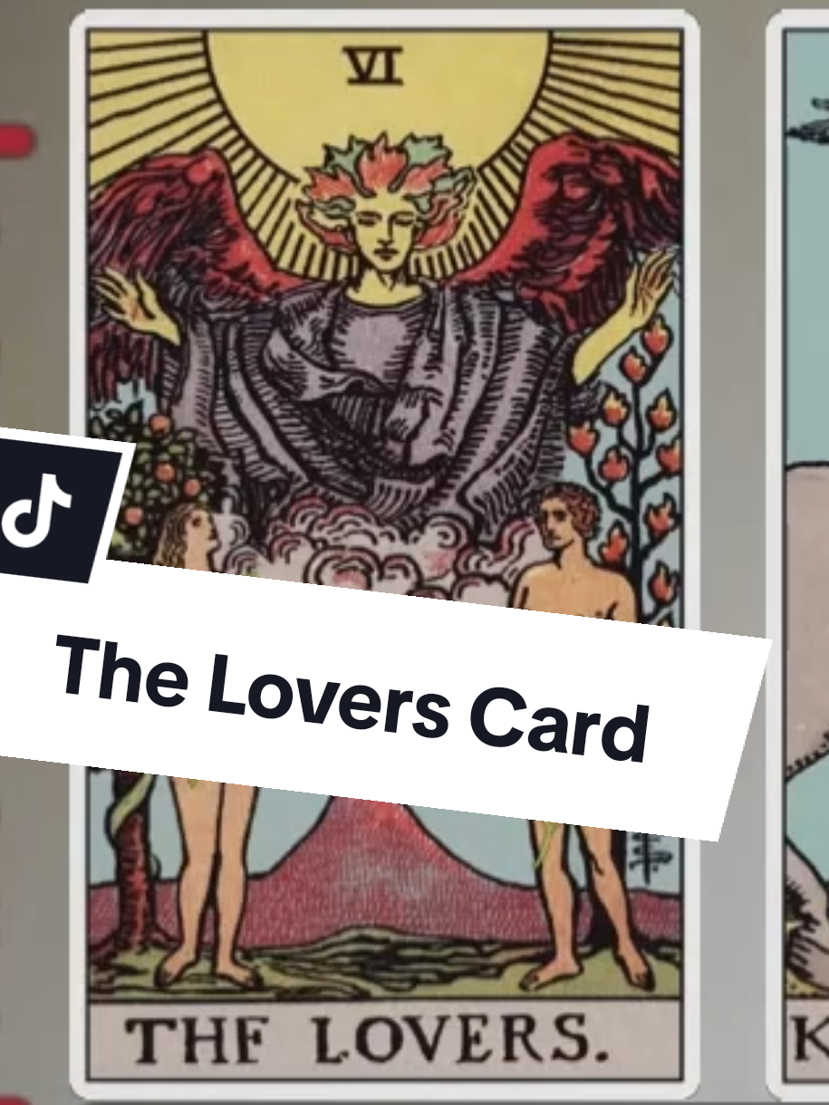 @Shonna | Tarot Teacher