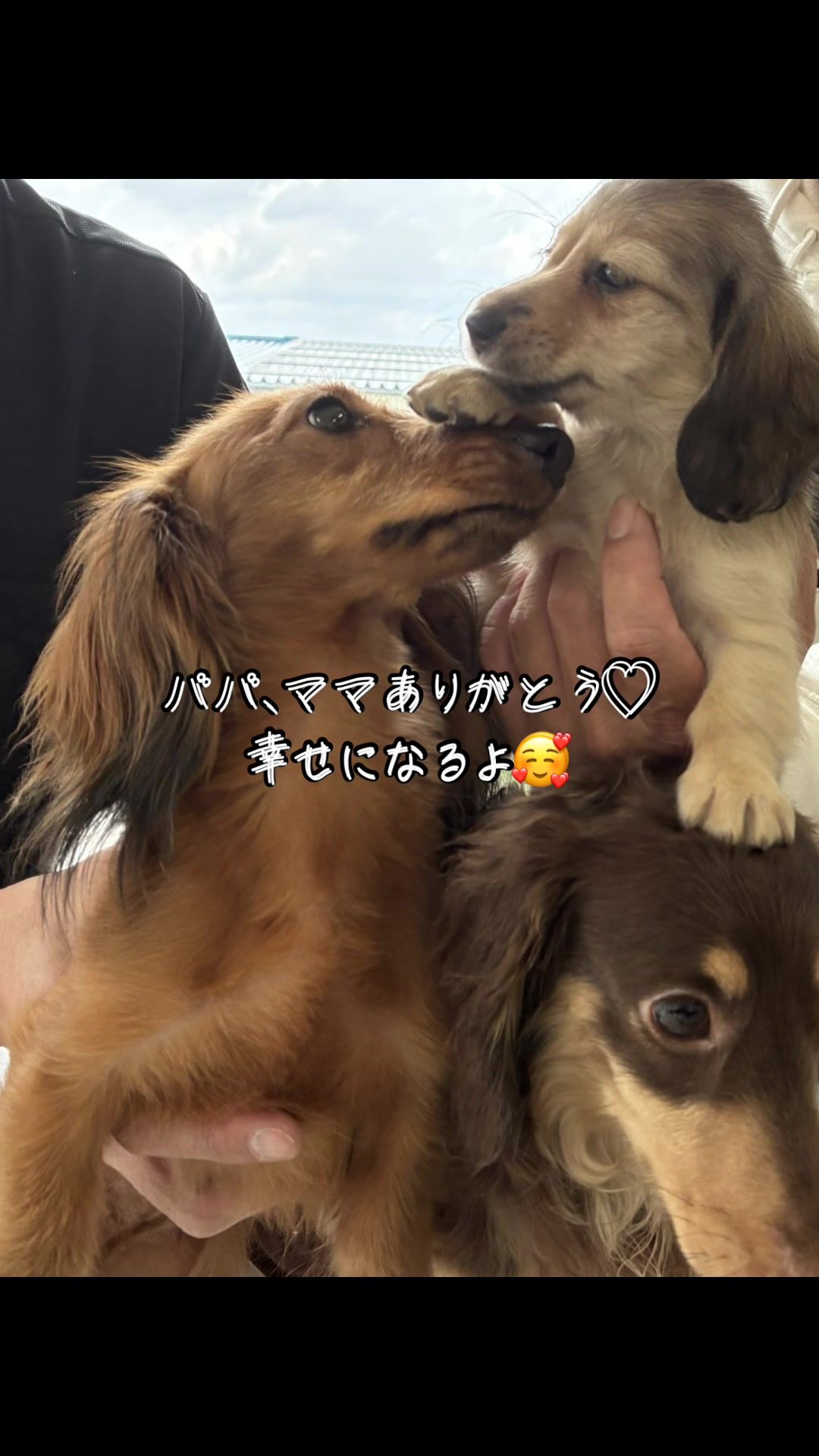 @きゃお