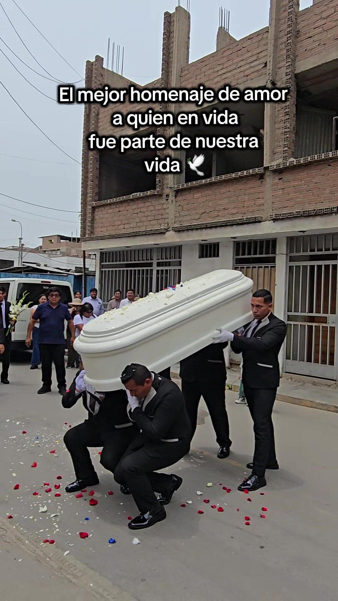 @Vida Perpetua Perú