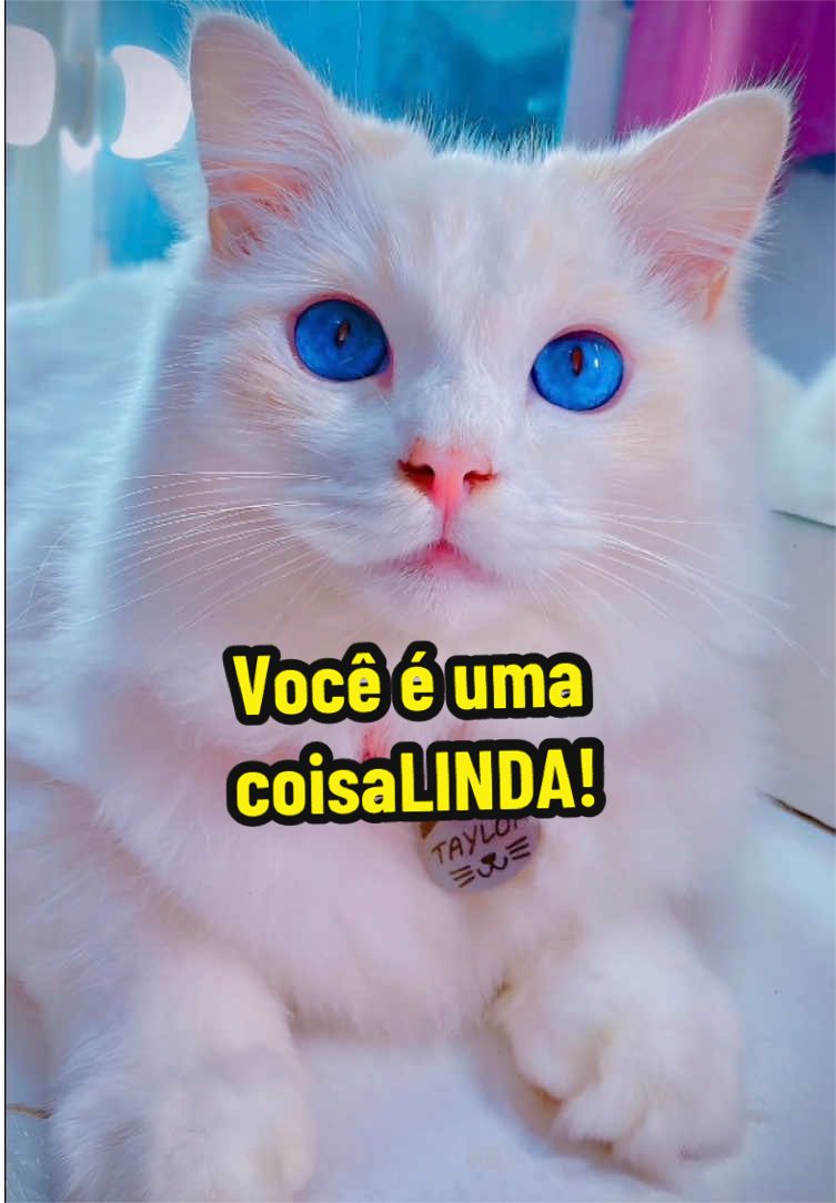 @𝒫𝑒𝓉𝓉𝑒𝓇 ♡