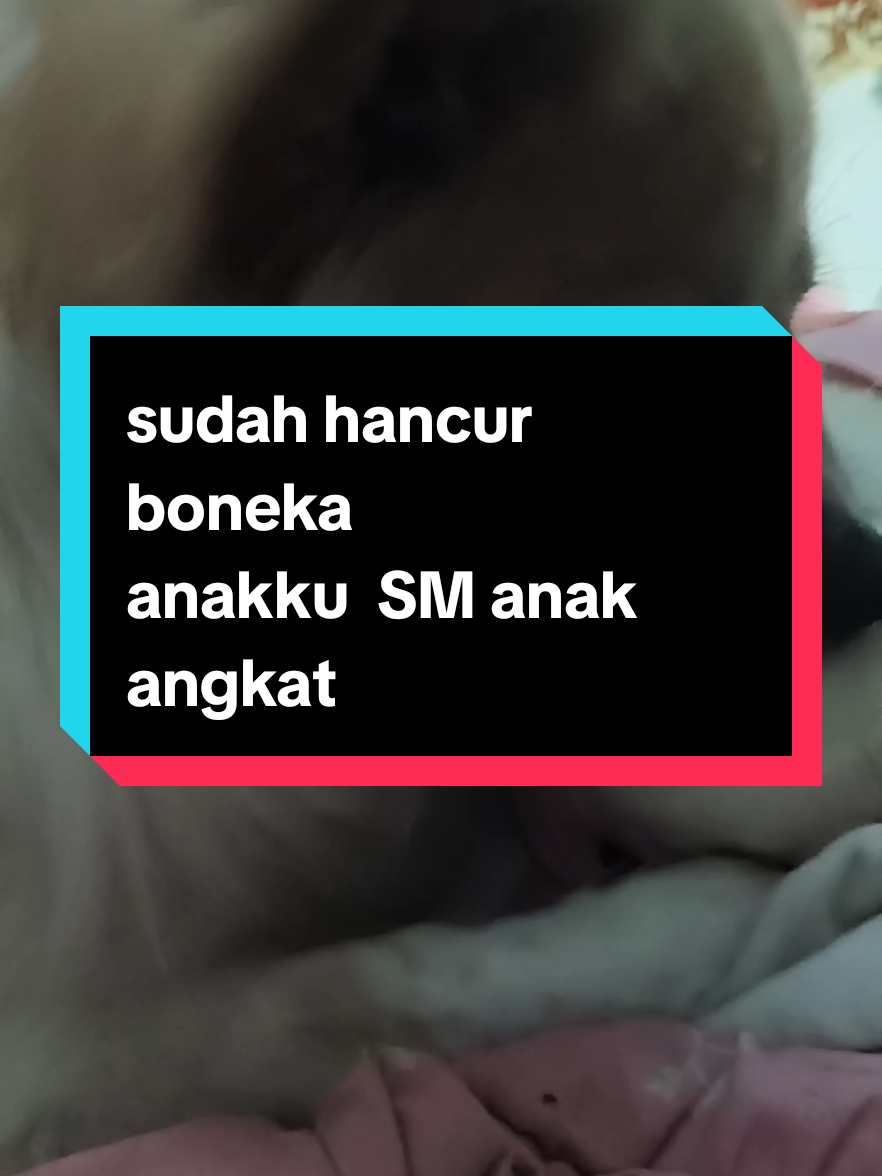 @Sarah Purnama ❤️❤️❤️