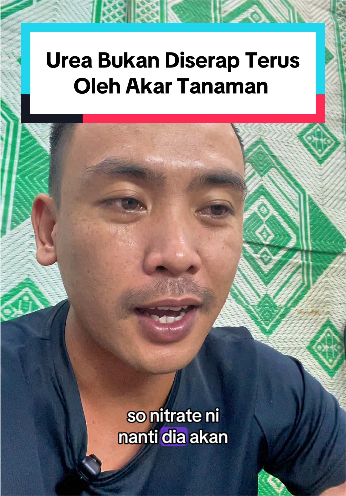 @Izat Aizie