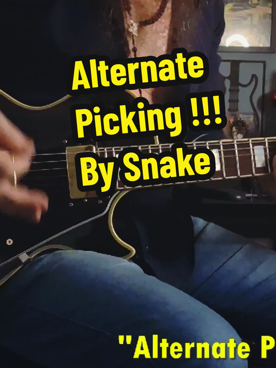 @Snake Guitar Brasil