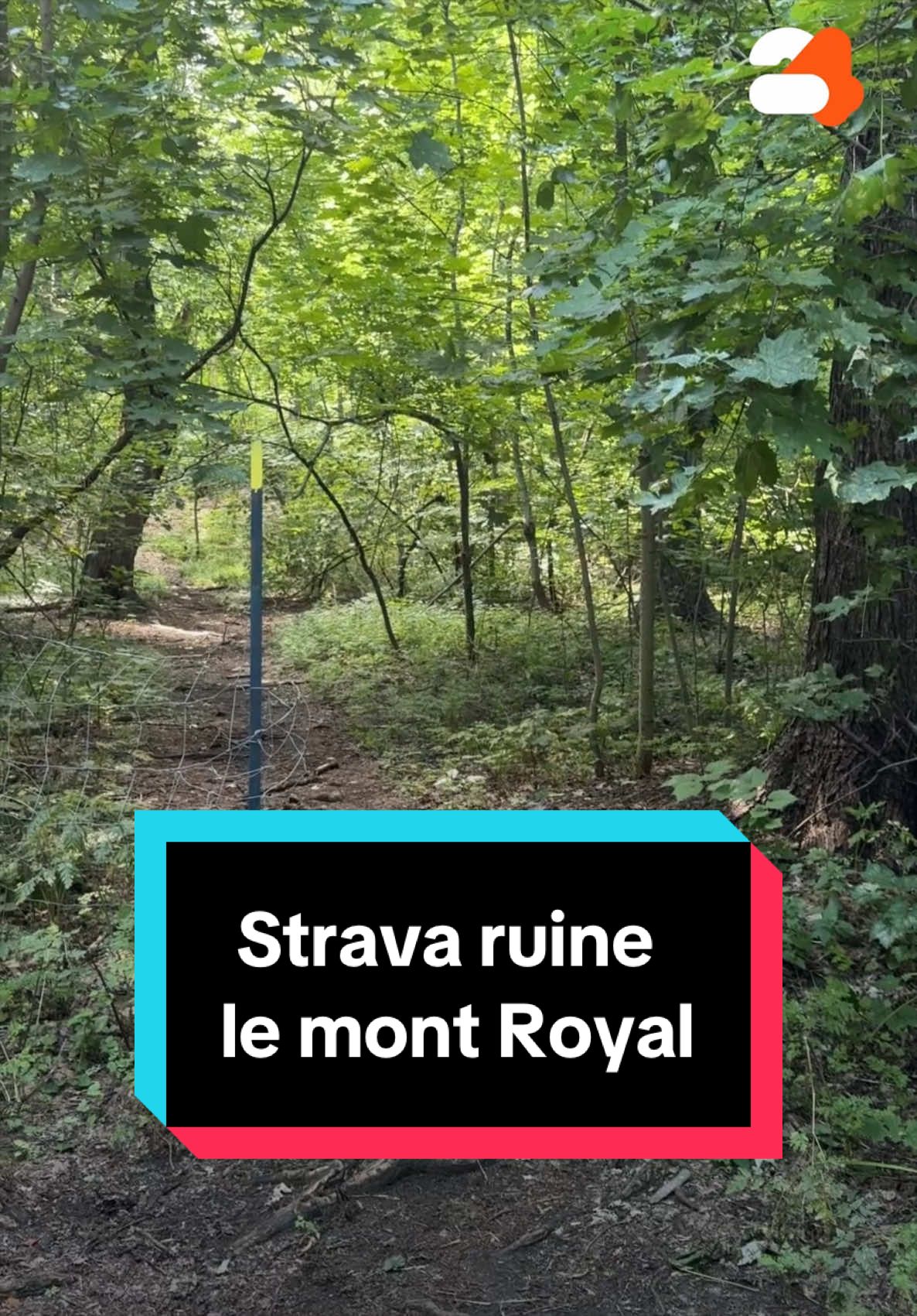 @24 heures