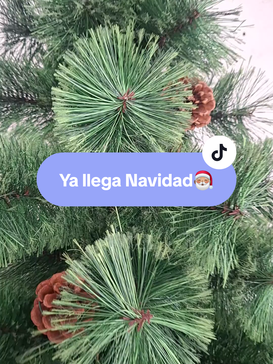 @Pia Aguilar