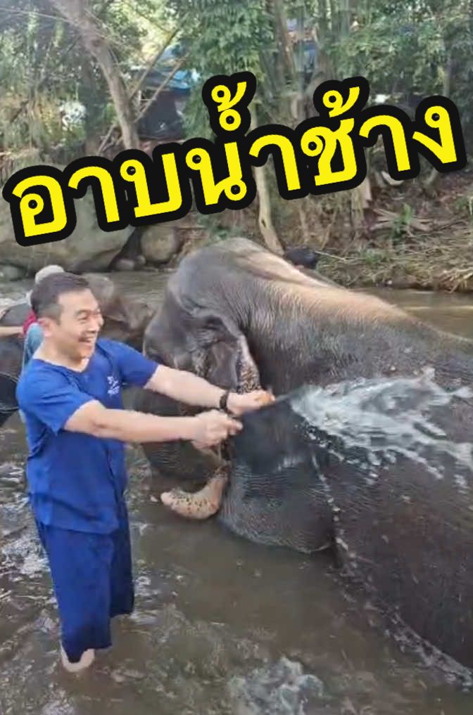 @DanaiChanchaochai