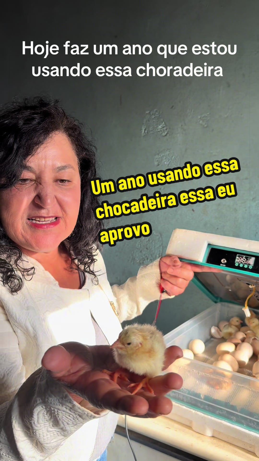 @Silvana Franco /vida na roça