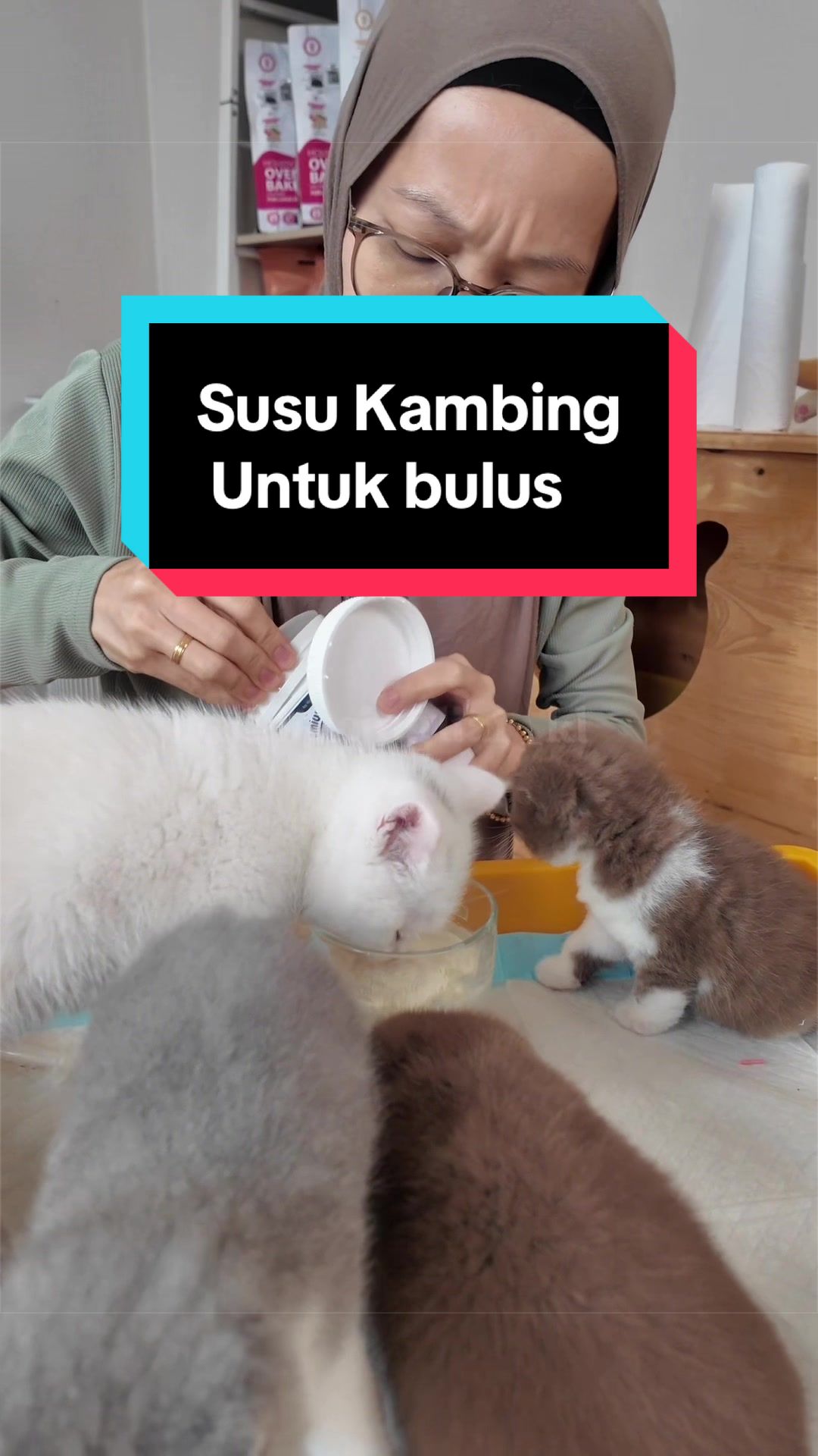@kucingliar kl