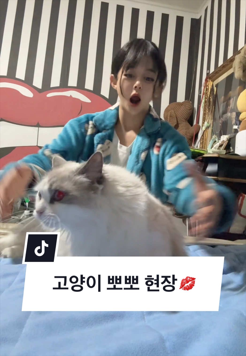 @☁️🦄뭉도리🪽
