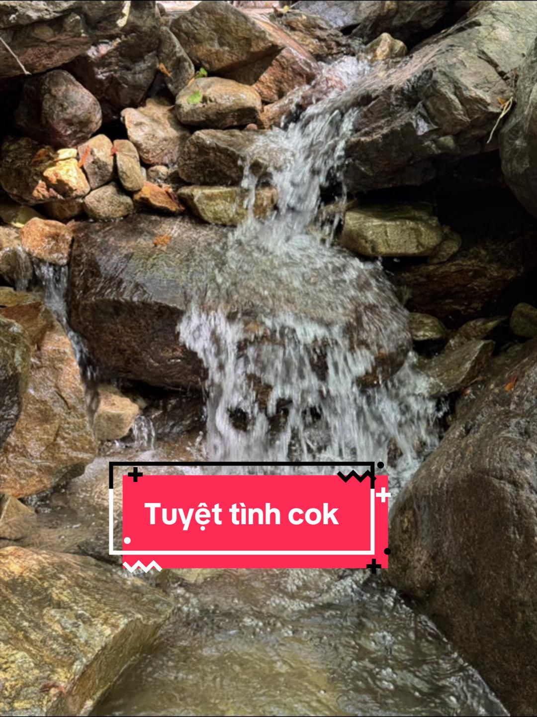 @Như _ HayĐi
