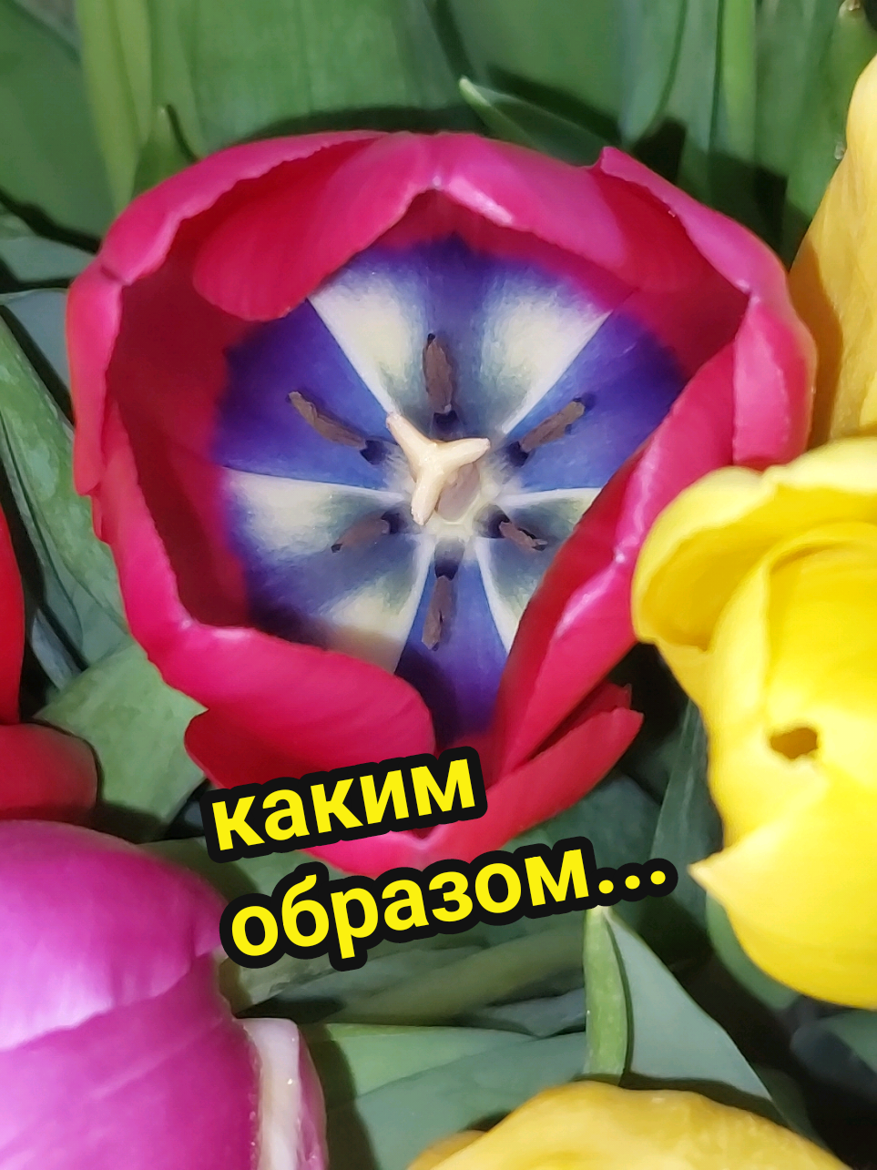 @Рыся✔️🇧🇾