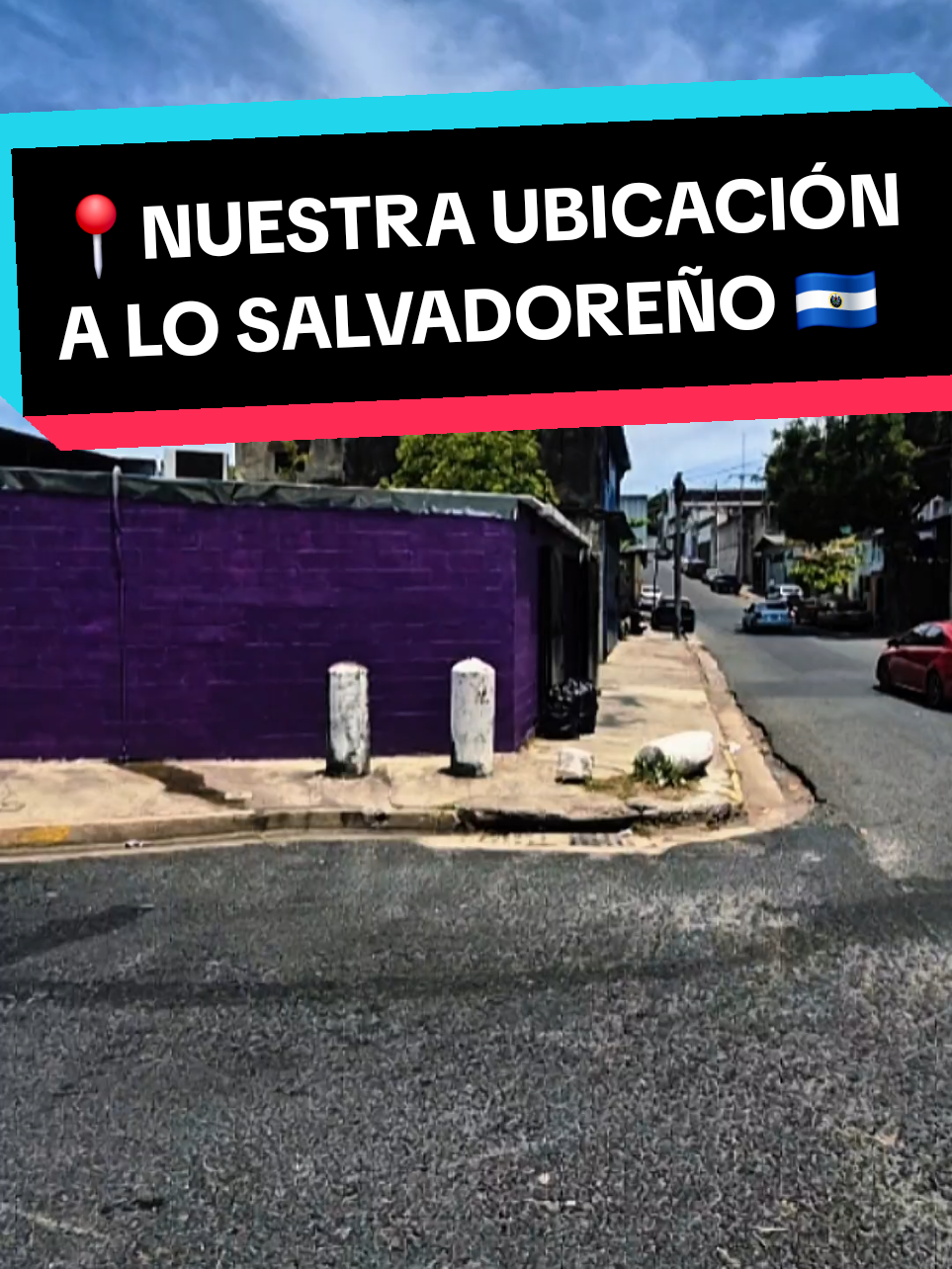 @Trini Art SV