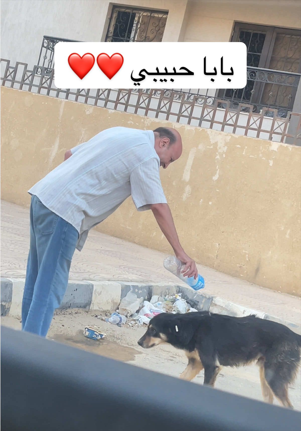 @شُرۆق نَادِر أَحْمَد☀️