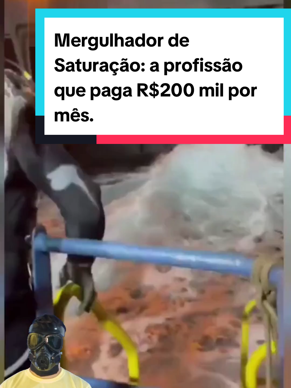 @Mundo da Curiosidades