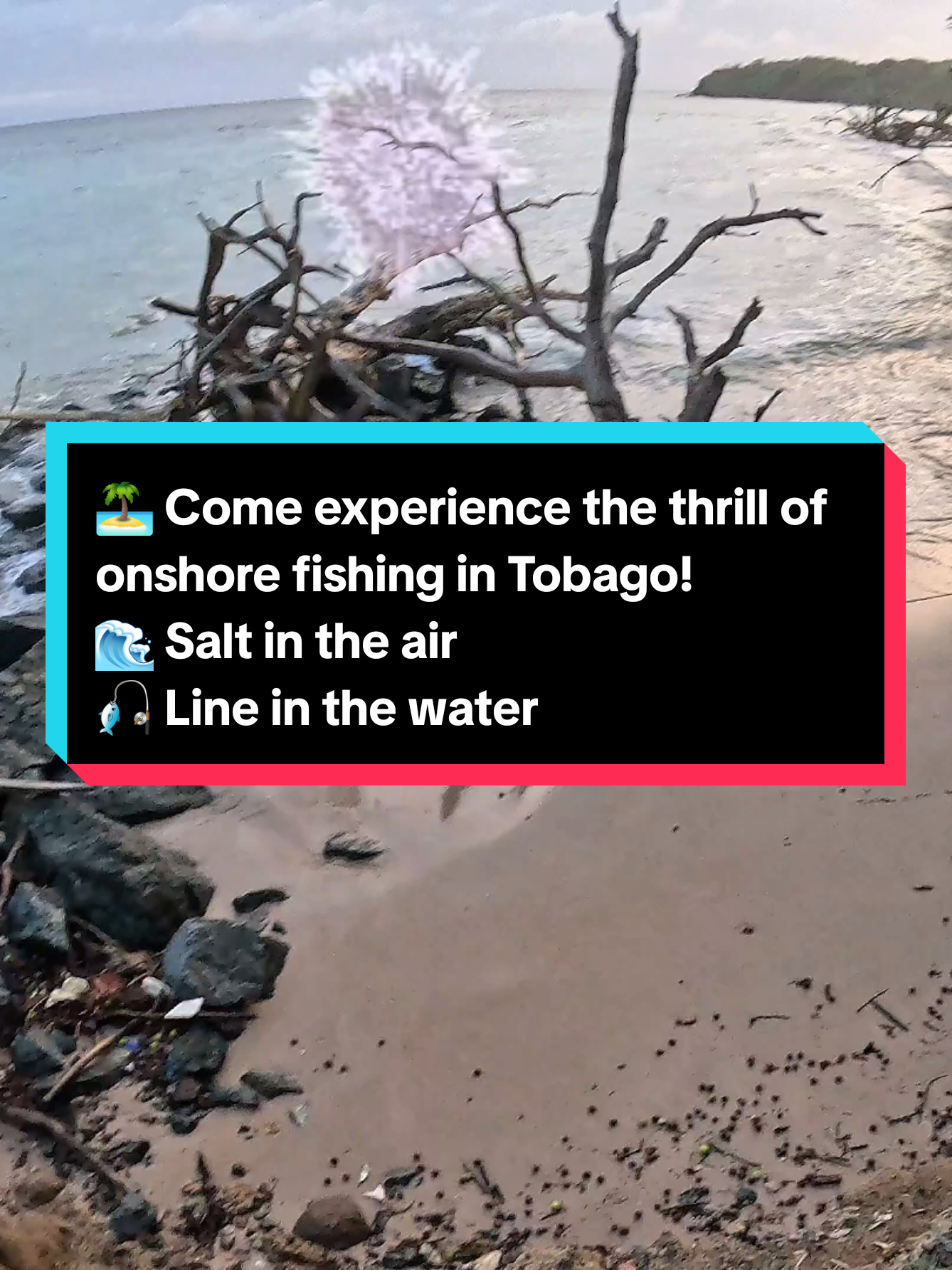 @cellwebtobago