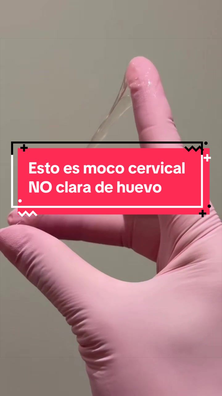 @Dra. Ver&oacute;nica Reyes Ginec&oacute;loga