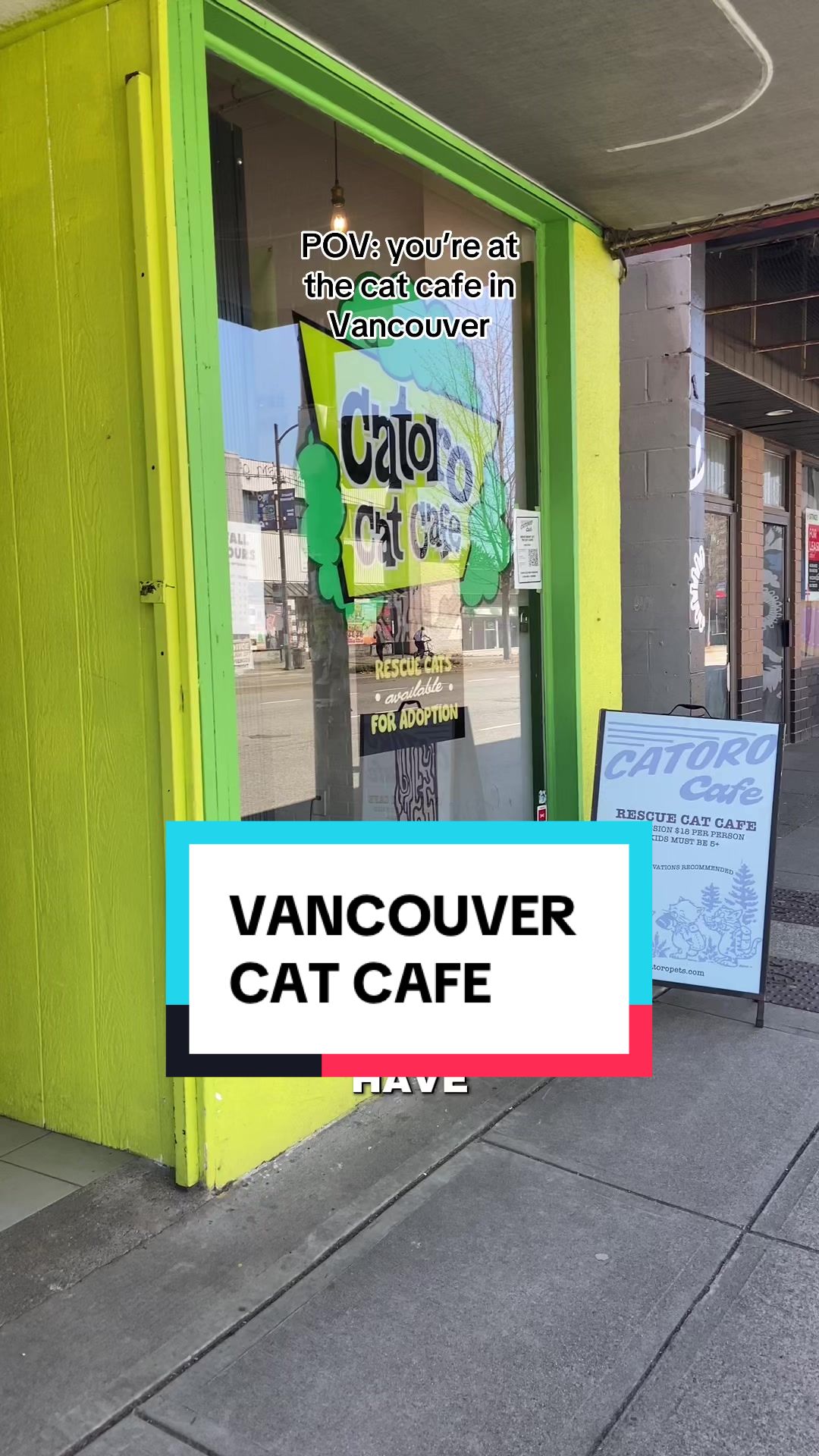 @Catoro Cat Cafe