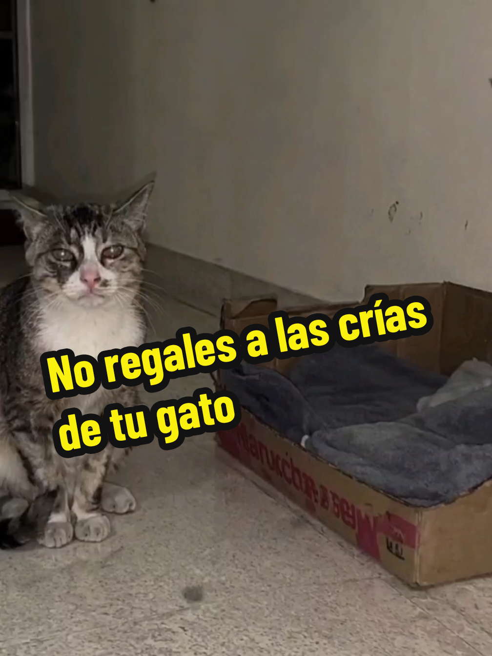 @El diario de coraje