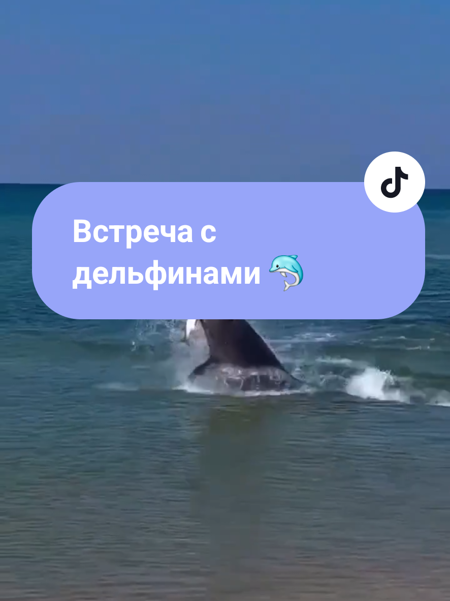 @Туда где море