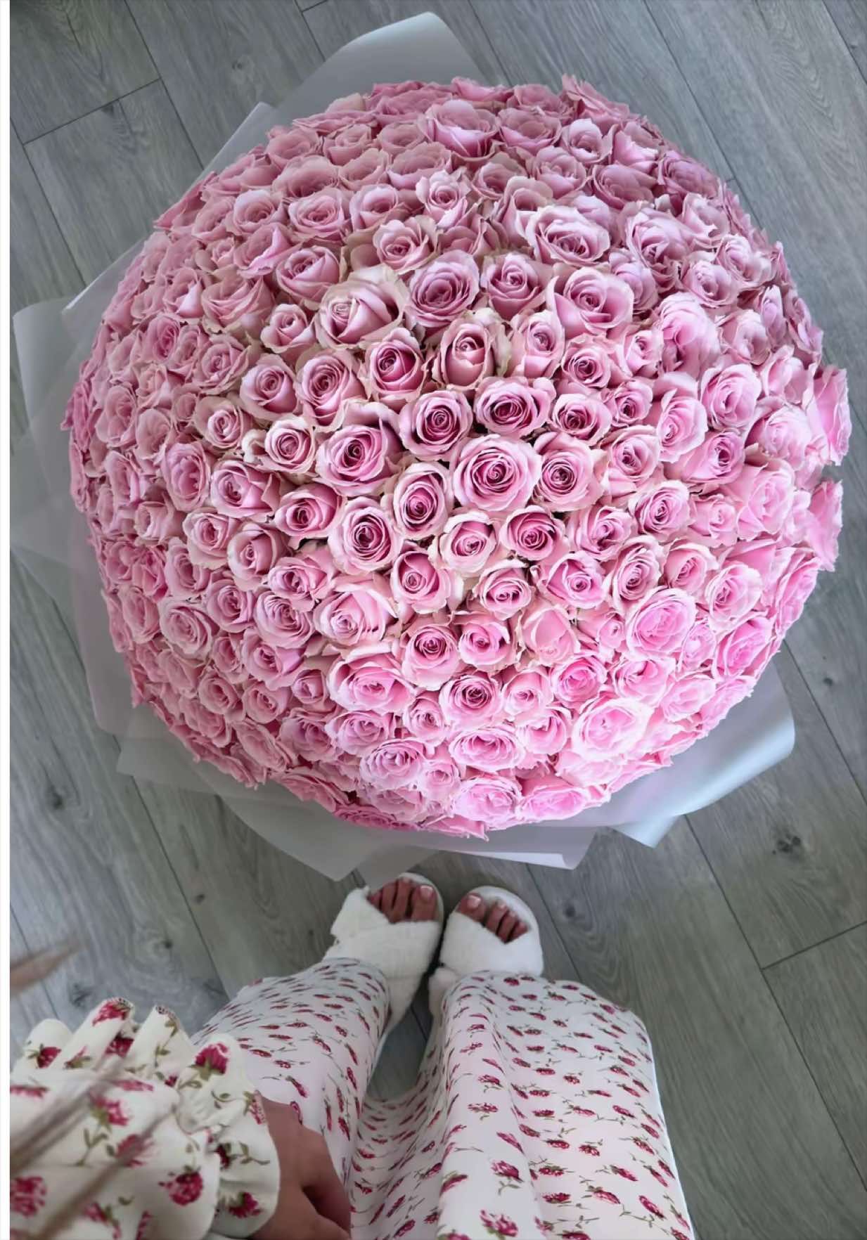 @ani777ka1