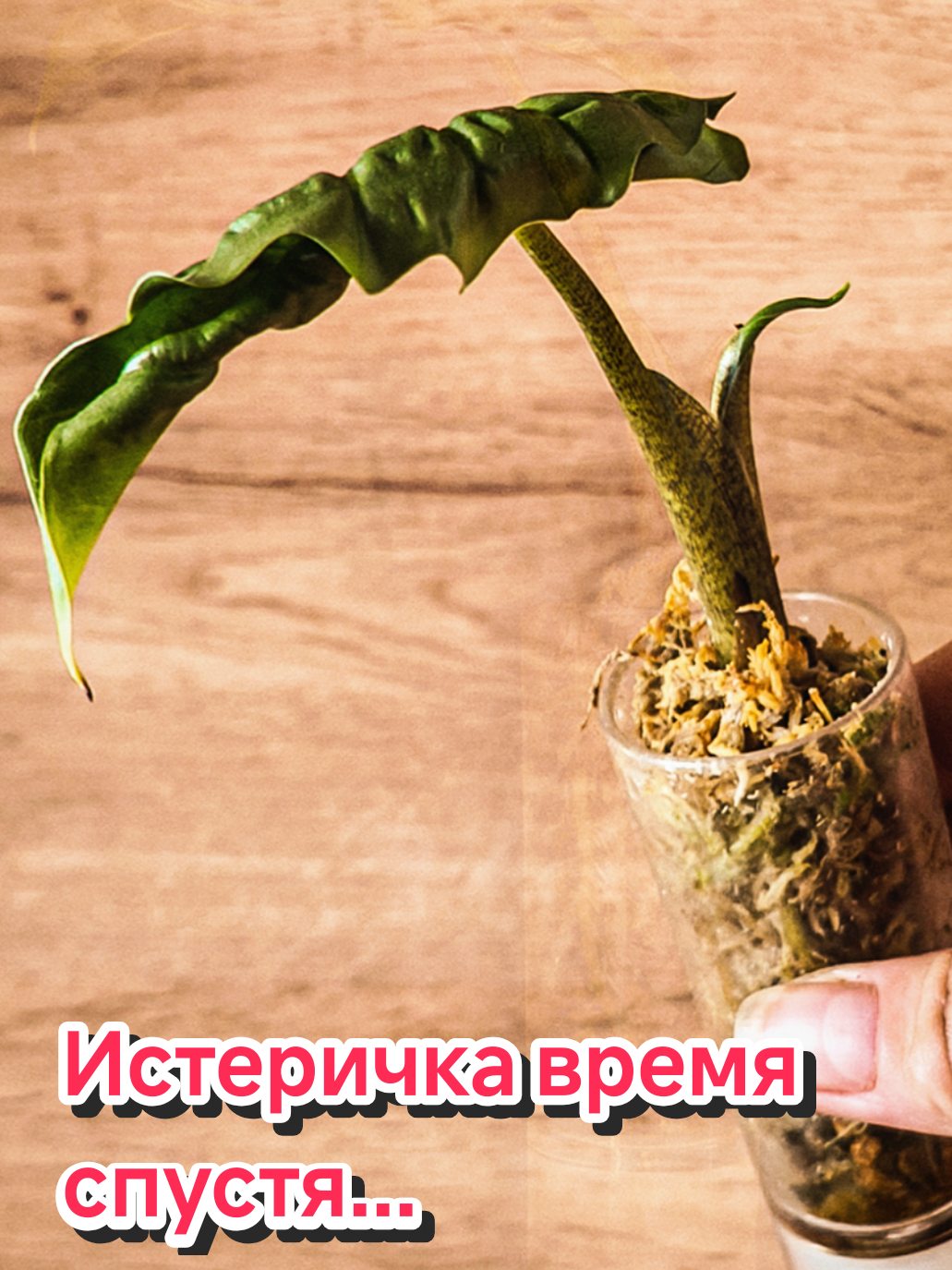 @kri_ma_photo