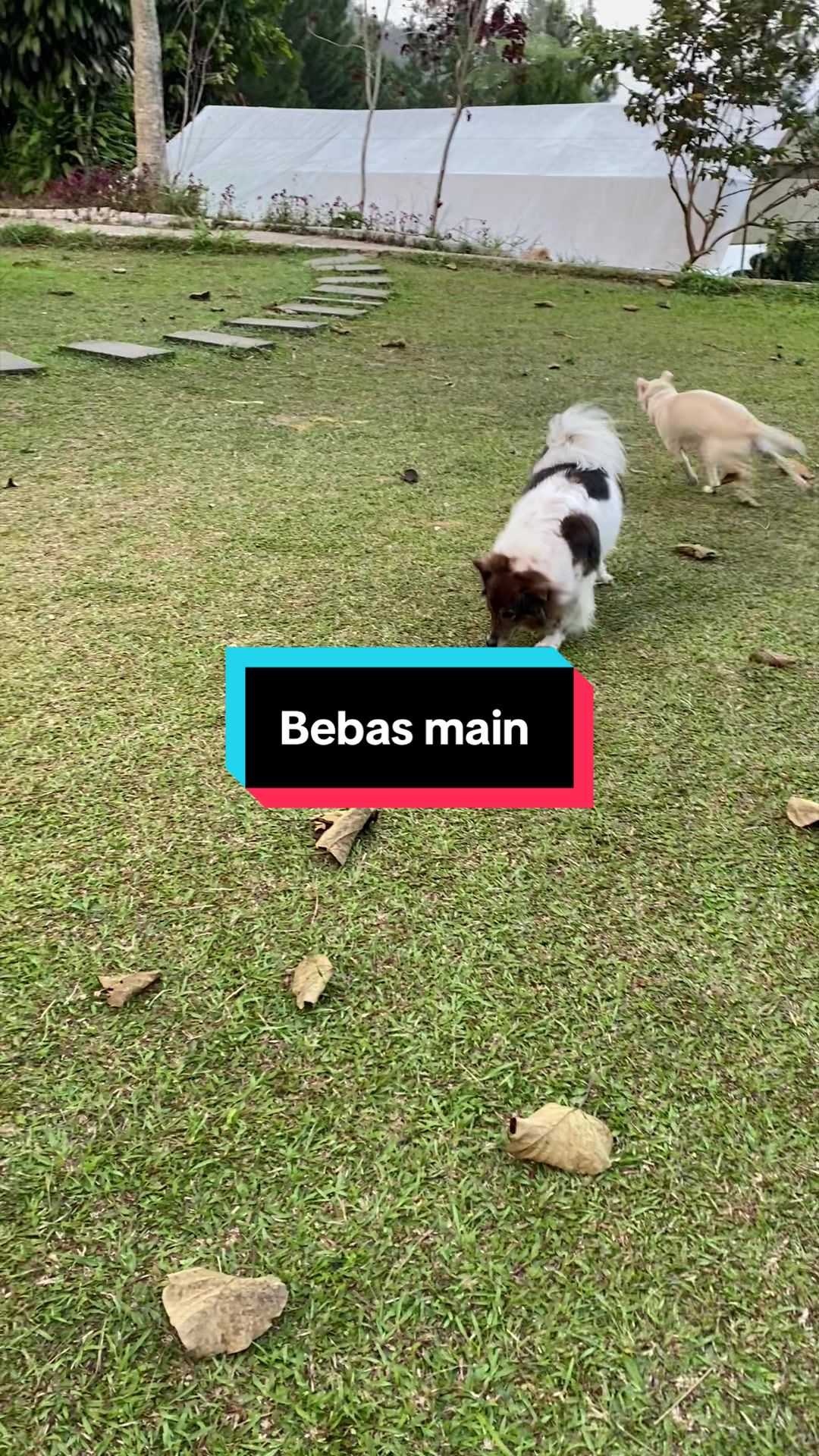 @Boboy.mayday