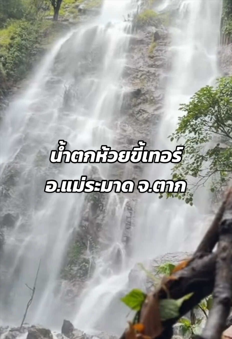 @ขวัญคนป่า ( เถื่อน)