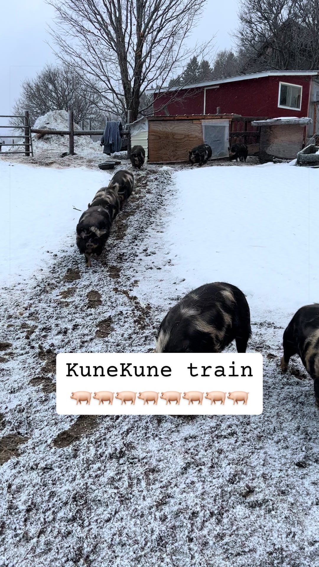 @Train Whistle Farm
