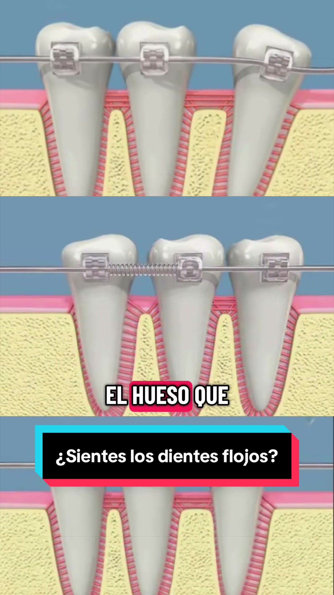@Clínica Dental Sonrident