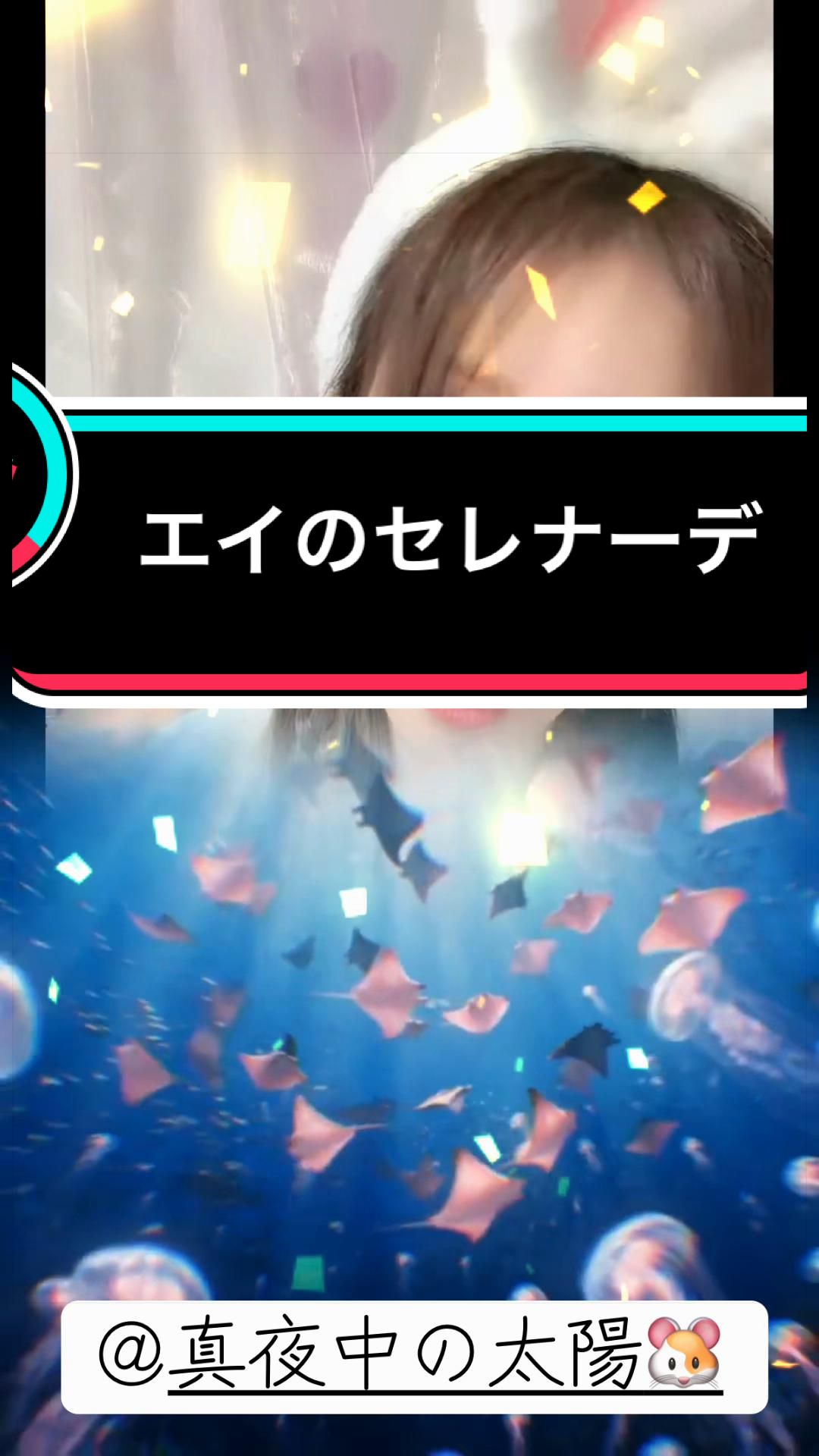 @ããã¿ãªð¹ð