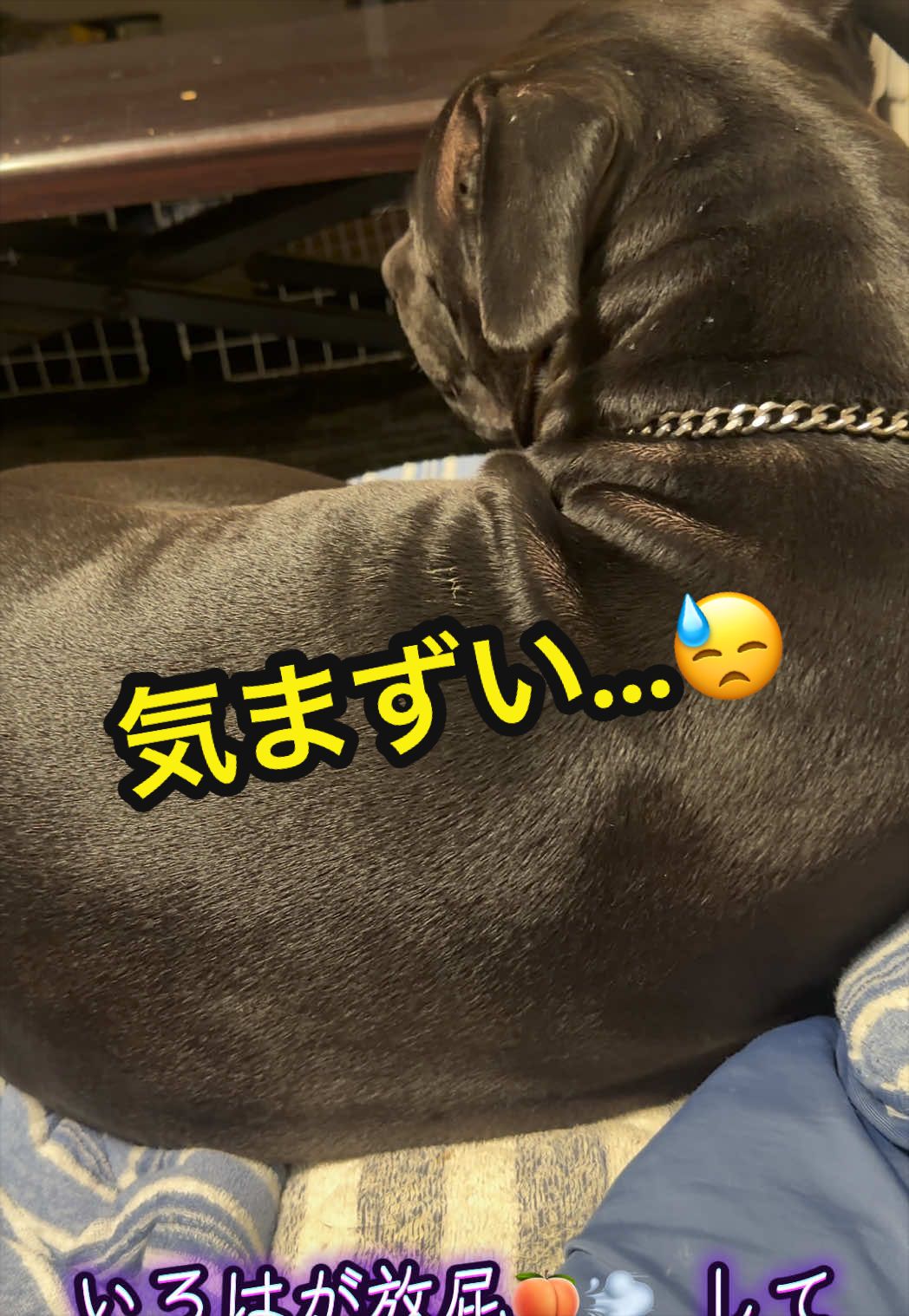@✌︎·͜·(PᗜN)·͜· ︎︎ᰔᩚ