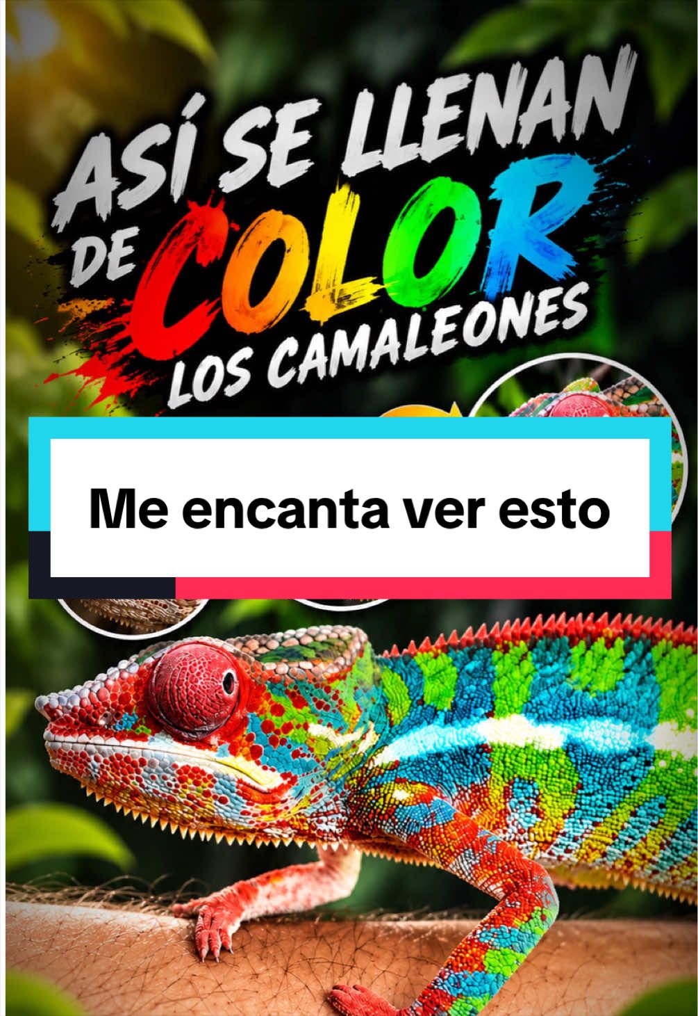 @ReptilMania