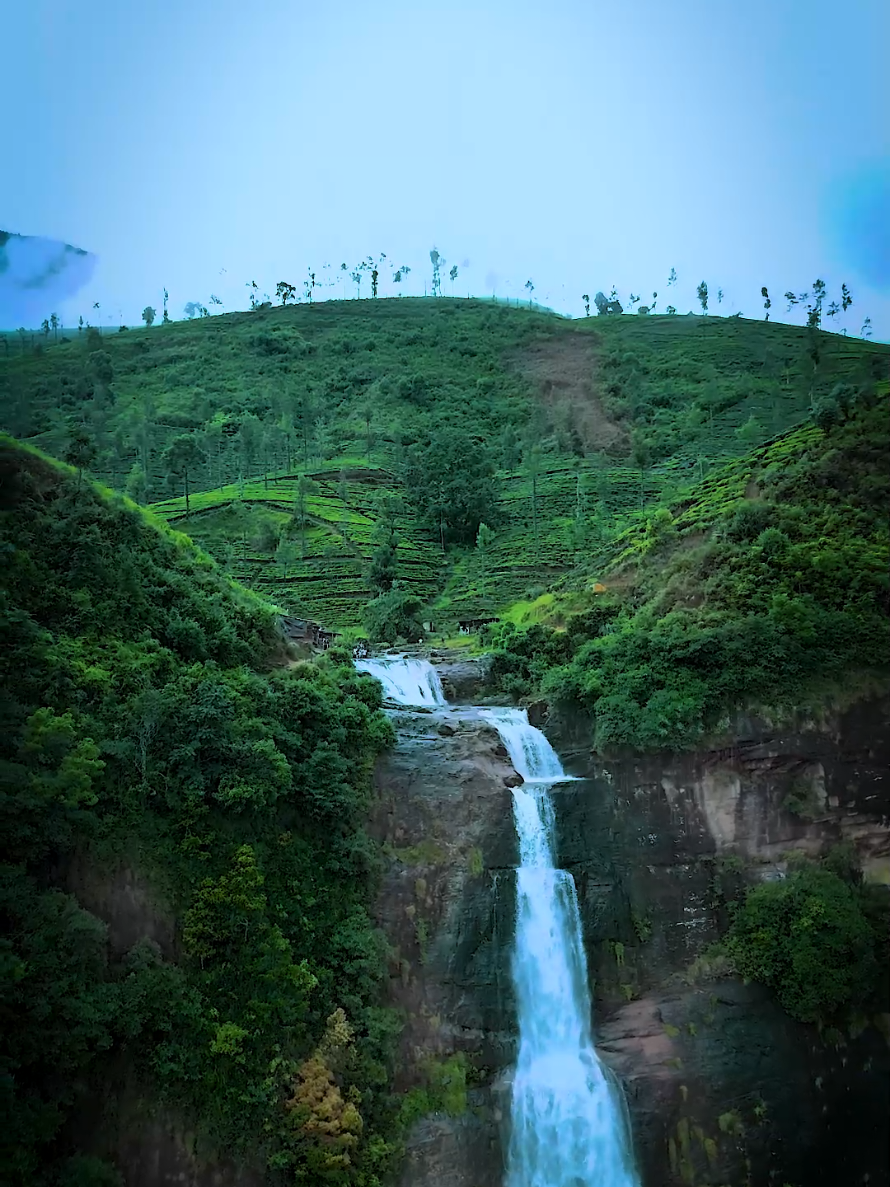 @Sulaxshan.A