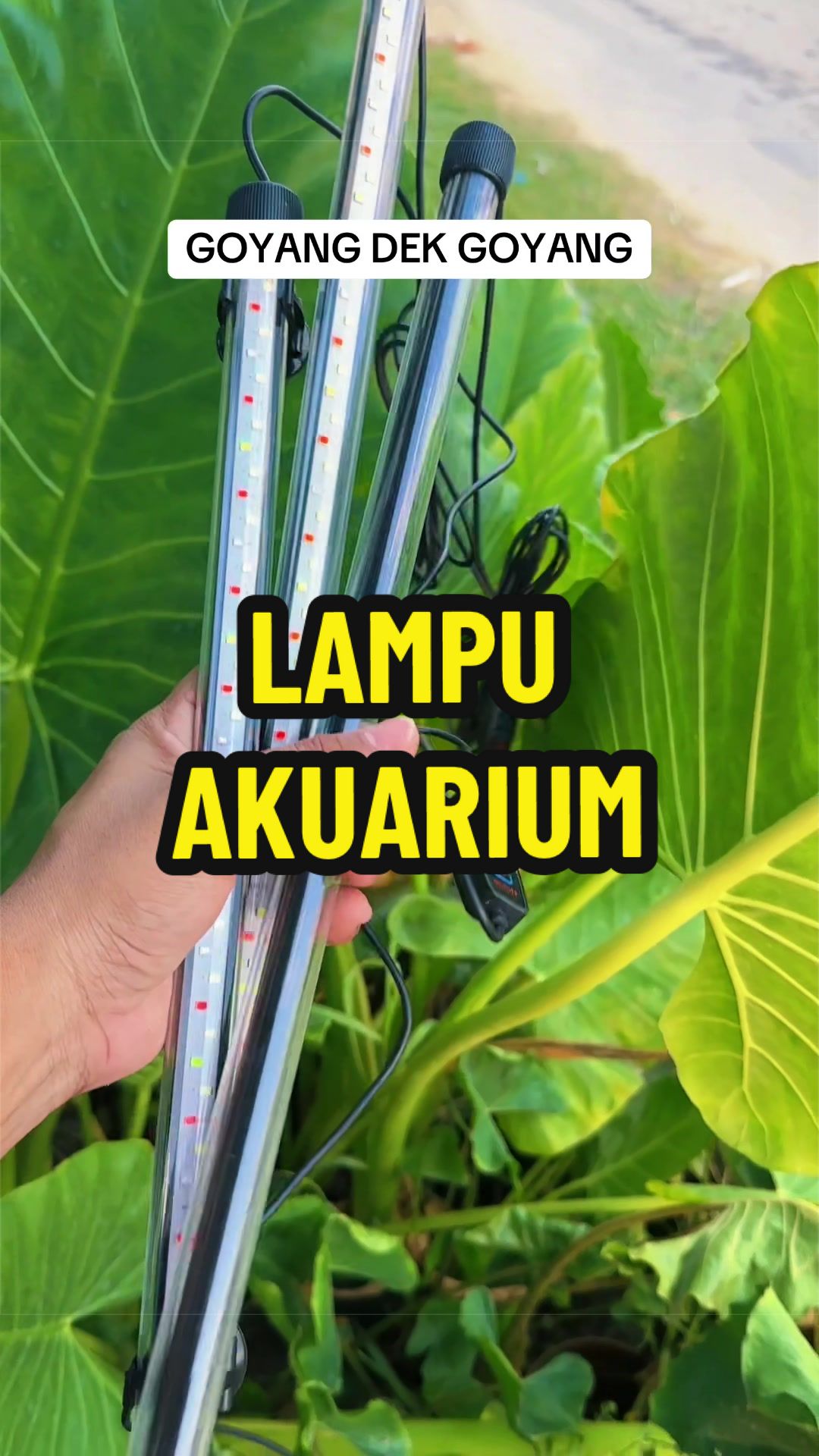 @LegasiWOW_store