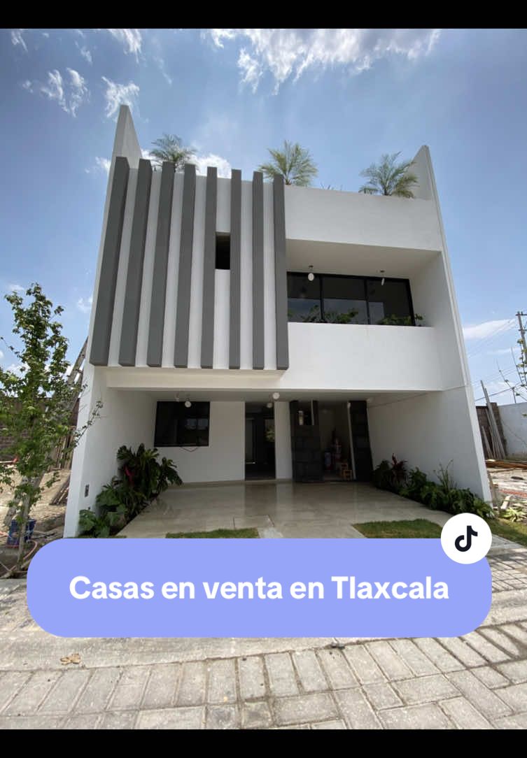 @Araceli Fabián