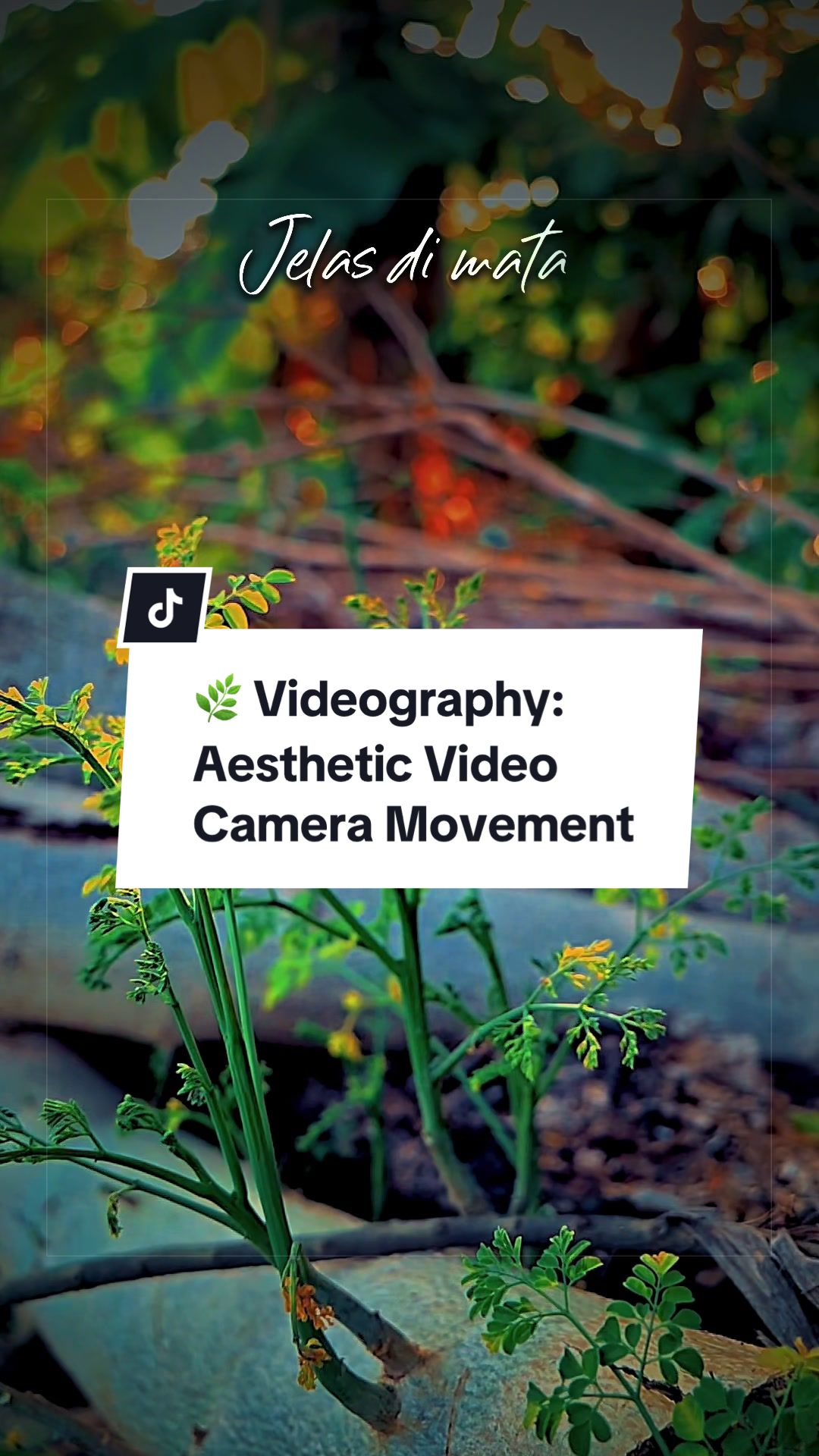@Muhammad | Videographer
