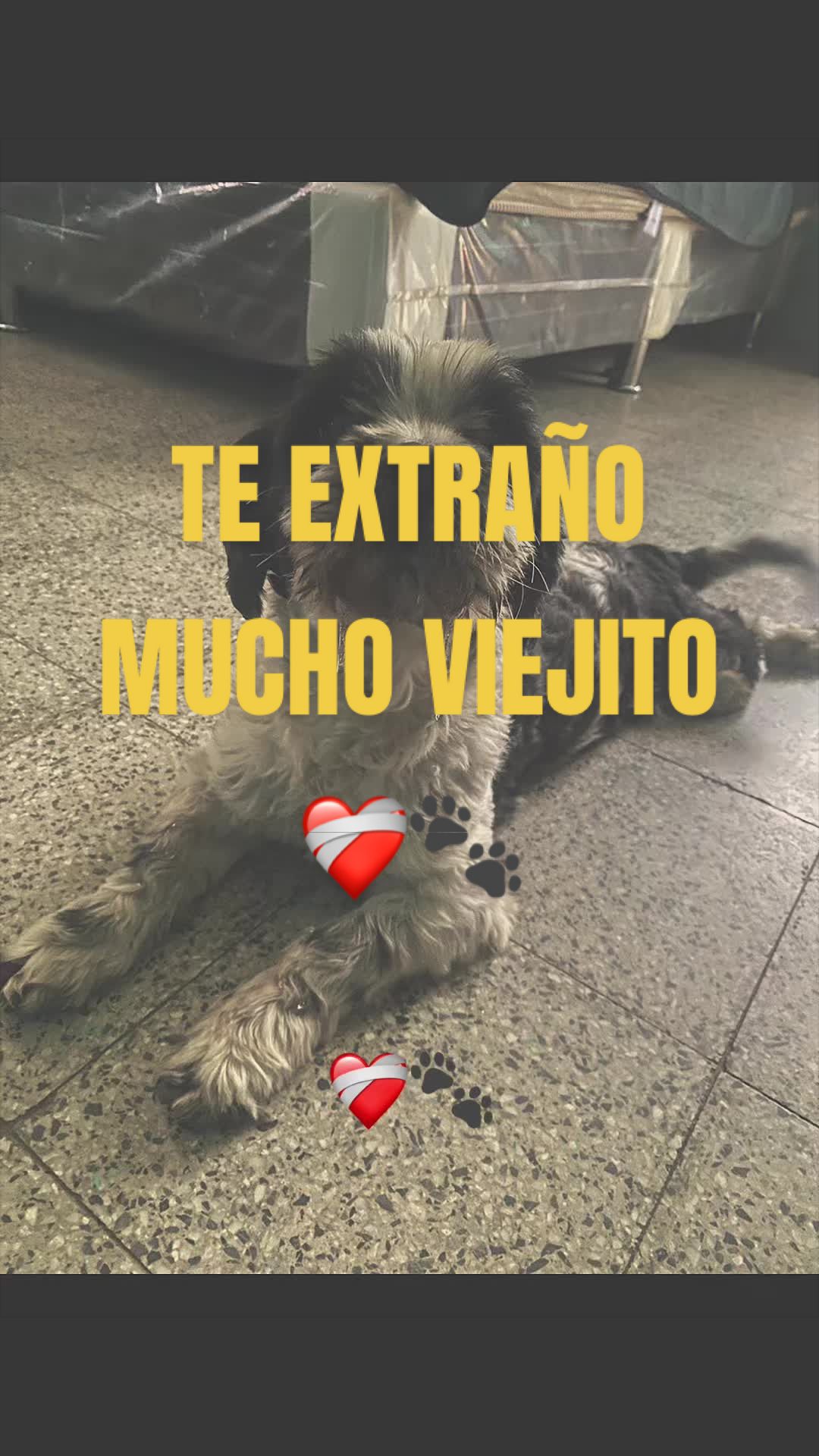 @Alessandro14