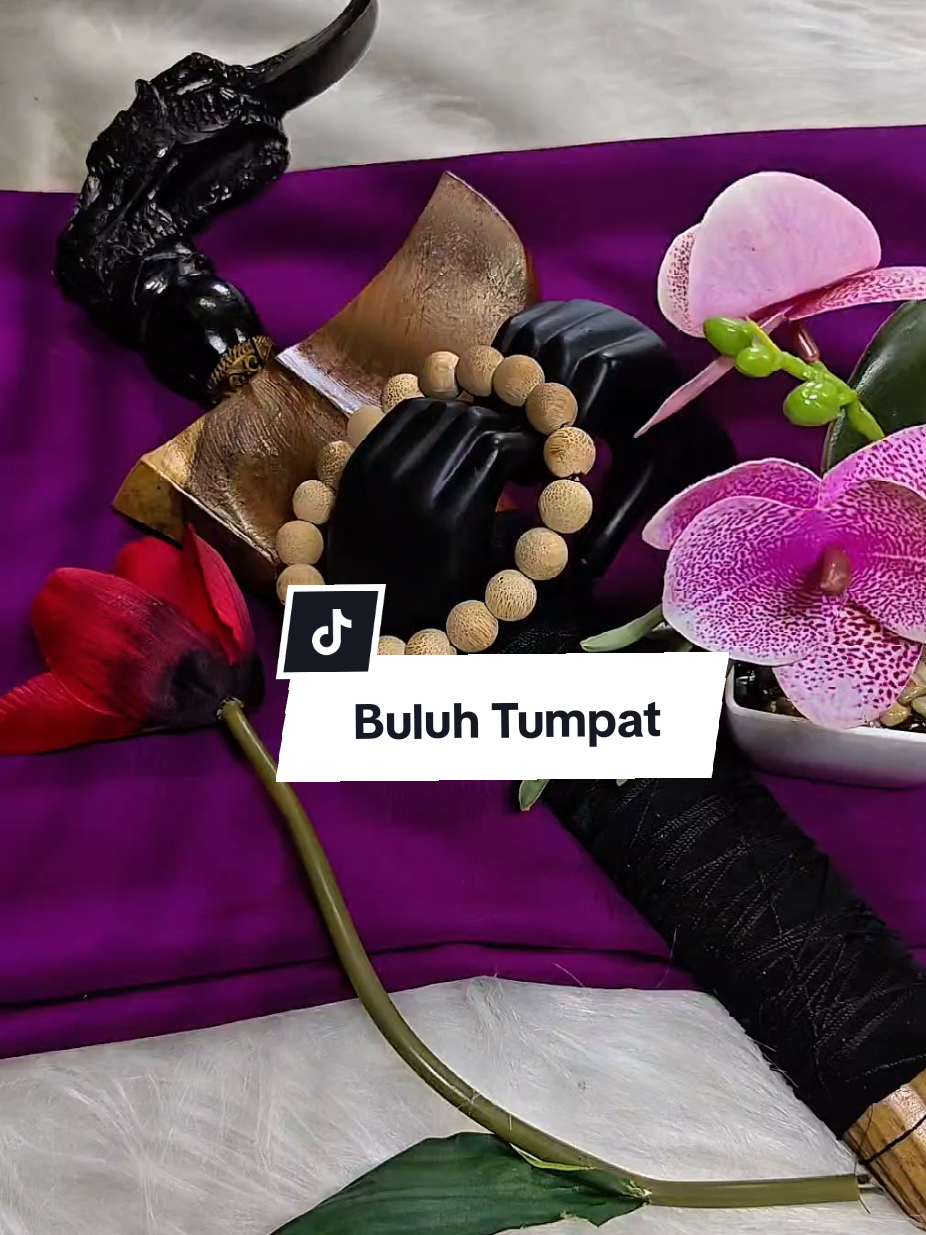 @քǟӄʟɛӄ ǟʍ