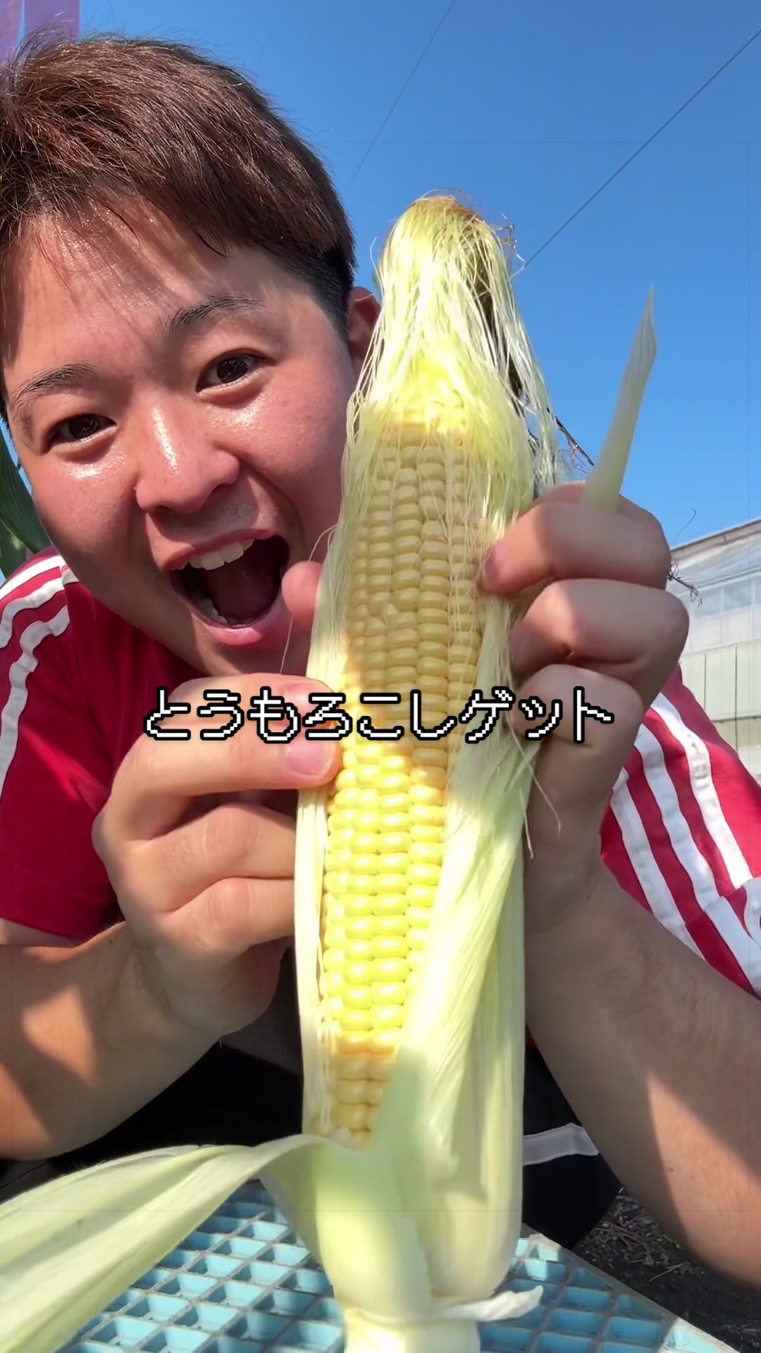 @今日の愛妻飯