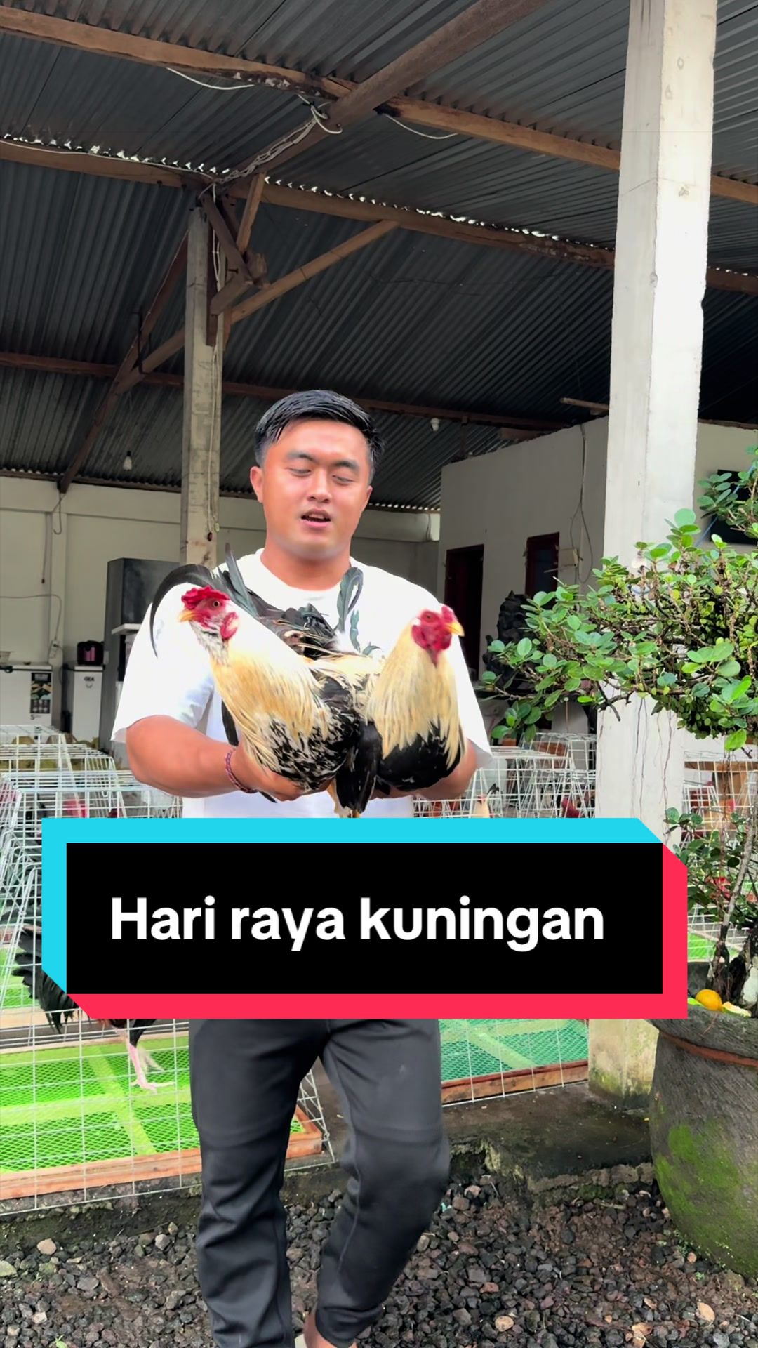 @Doni artawan