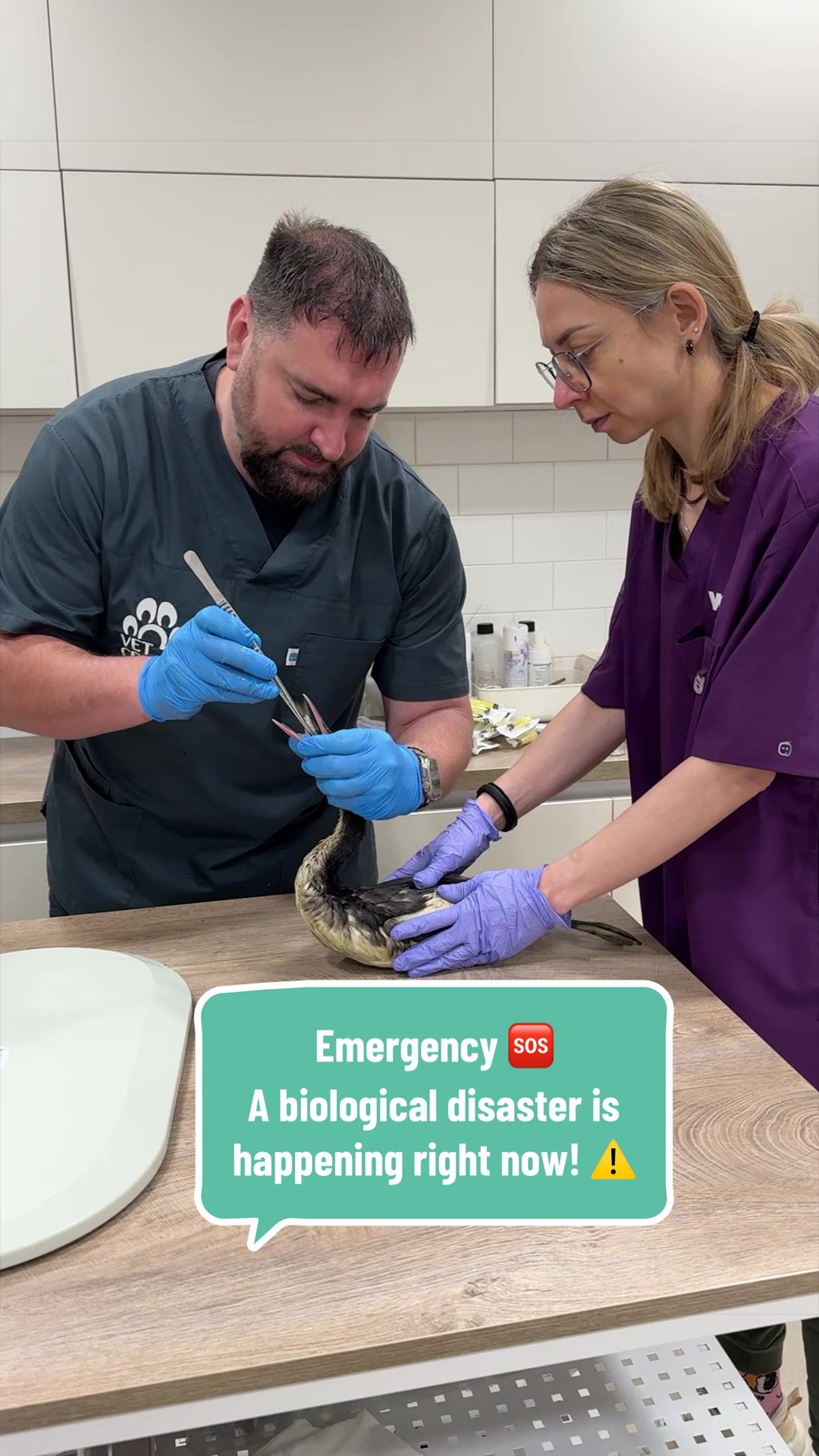 @VET CREW