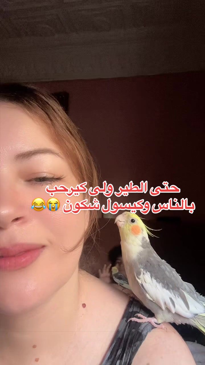 @✿ 𝐹𝓁𝑒𝓊𝓇 𝐵𝑒𝒶𝓊𝓉𝓎 ✿