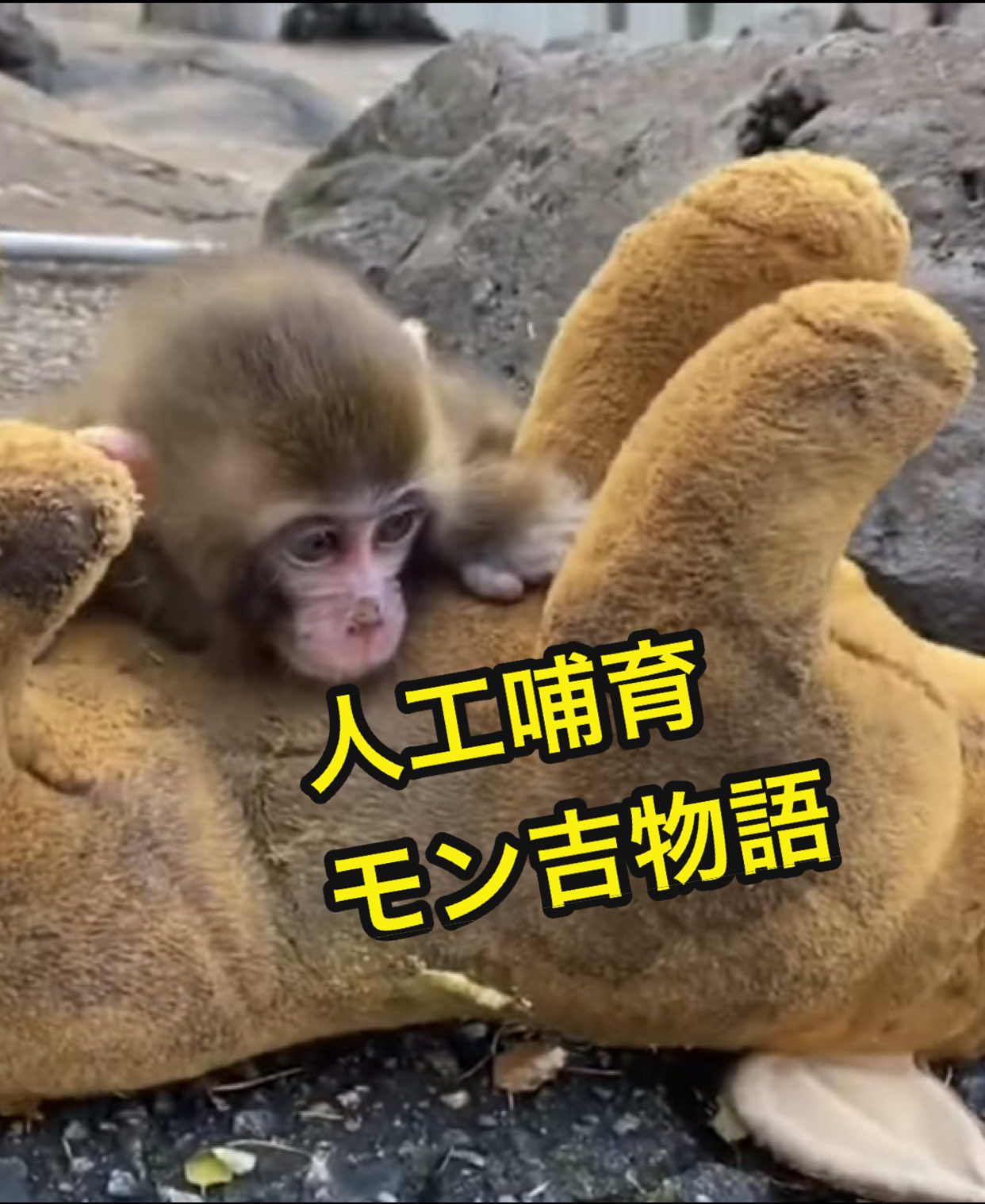 @草津熱帯圏