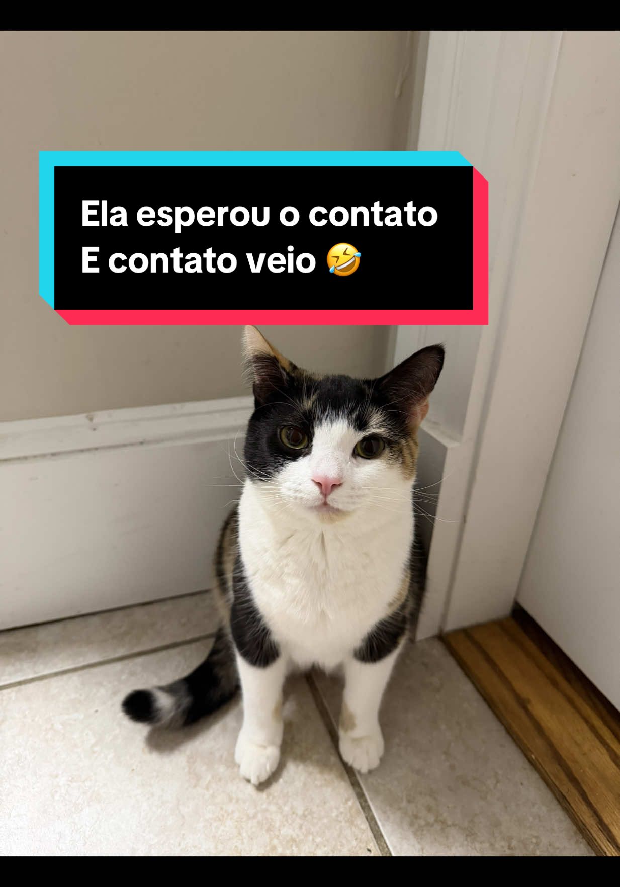 @Leticia Lima