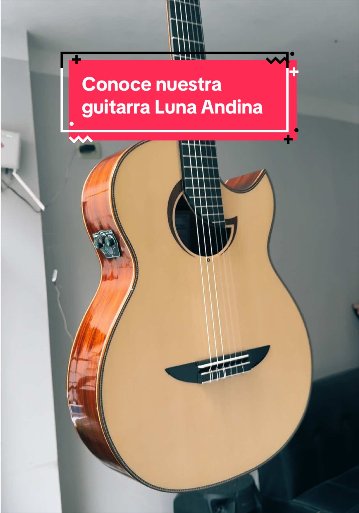 @Guitarras Andina